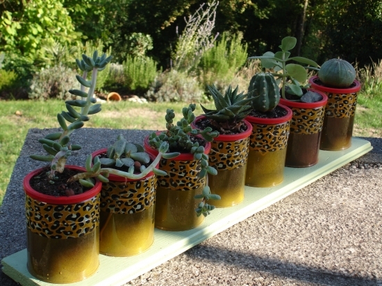 tin can craft ideas garden table centerpiece cactus decor