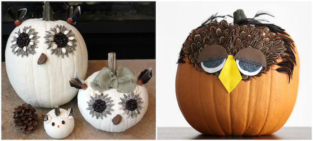 halloween pumpkin diy feather decoration owls carving pumpkin bird