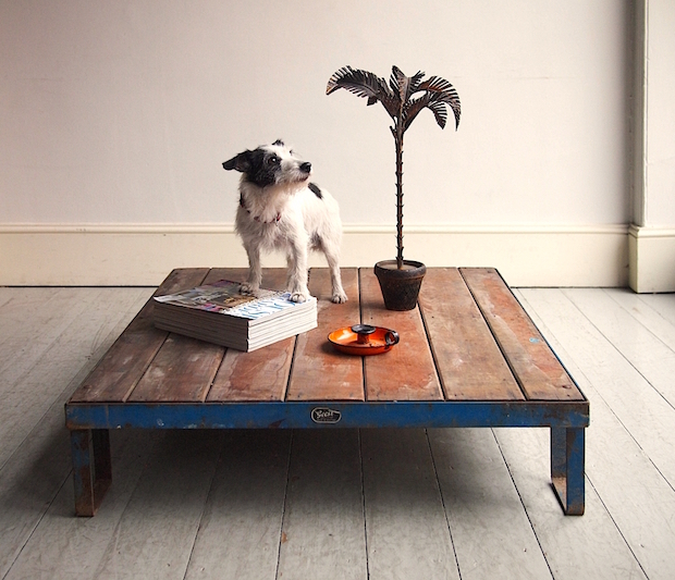 diy coffee pallet table vintage decor plant dog magazine furniture catalog