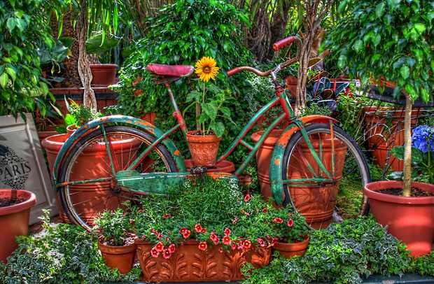 upcycled old garden bike using flowers for decor in the backyard