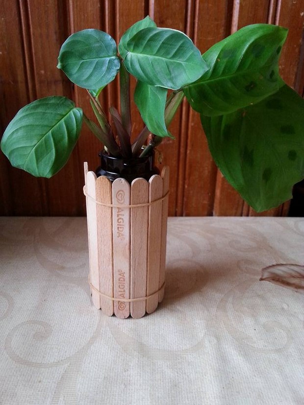 popsicle sticks flower pot diy indoor easy ideas