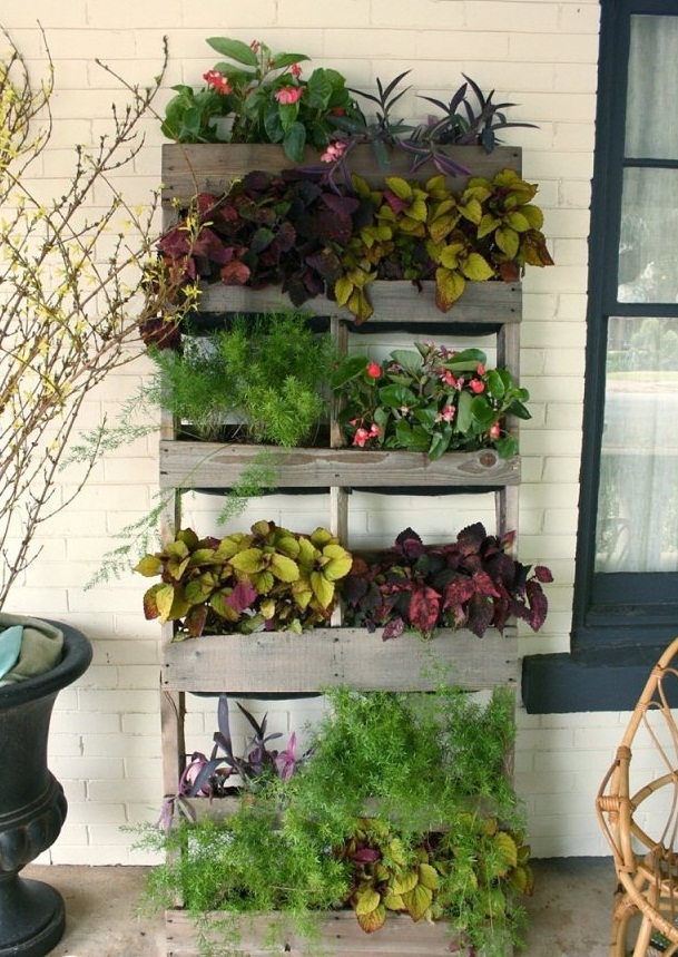 vertical pallet garden varnished wood white brick wall flower decoration