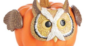 halloween-diy-handmade-pumpkin-owl-redesigned-art-upcyling-pumpkin-idea