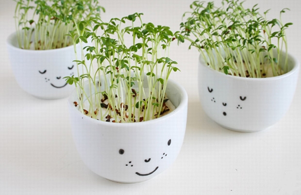 reuse old white porcelain teacups mini planter indoor herb garden ideas