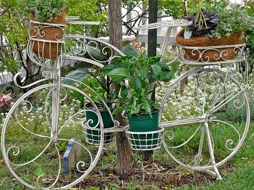 upcycling bikes creative reused old white bicycle with flower decoration