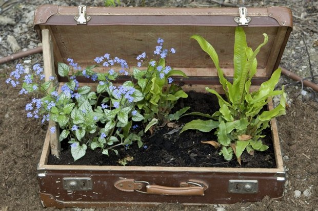 reuse old suitcase flower planter diy garden ideas