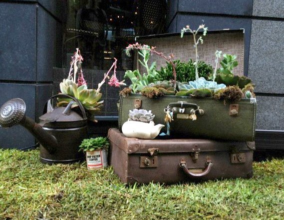reuse old suitcases garden flower planters watering can decoration ideas
