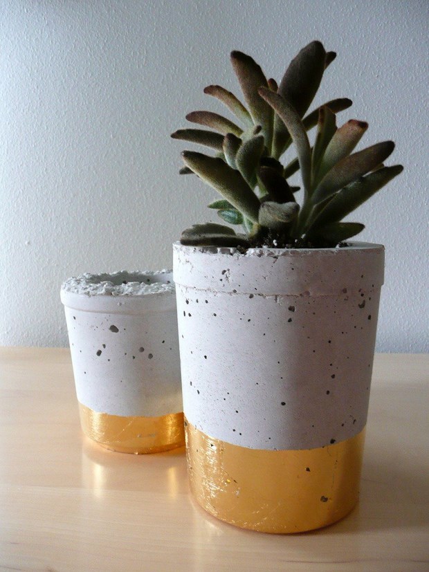 concrete amazing projects mini succulent pots reusing plastic cups